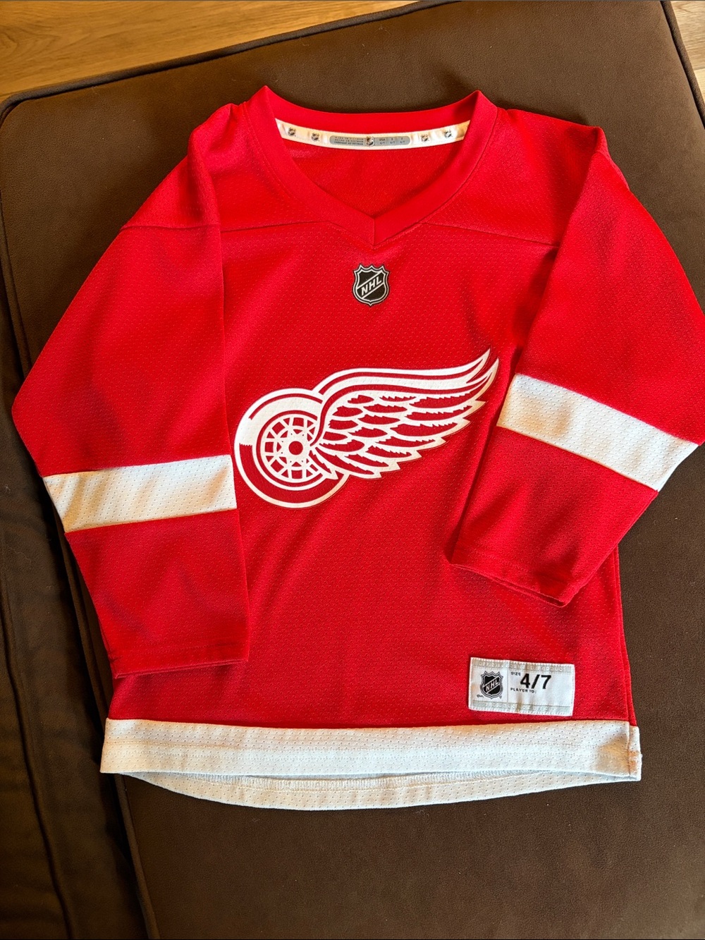 NHL Detroit Red Wings Kids Red and White Hockey Jersey
